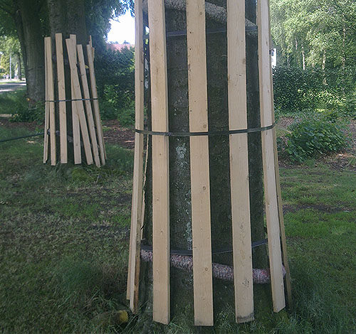 Boombescherming met sterke band