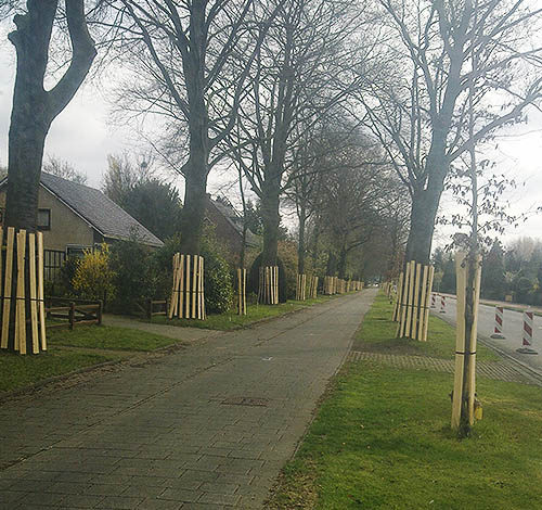Boombescherming op meerdere bomen